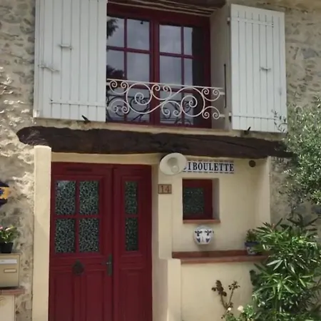 Ciboulette Mirabel-aux-Baronnies
