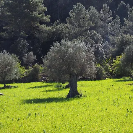 Prázdninový dům Ciboulette Mirabel-aux-Baronnies