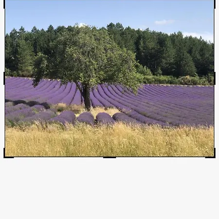 Ciboulette Prázdninový dům Mirabel-aux-Baronnies