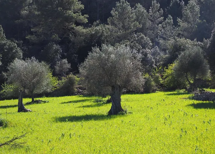 Holiday home Ciboulette Mirabel-aux-Baronnies